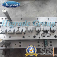 Die Mold/ Stamping Mold/Stamping Moulding (HRD-J10162)